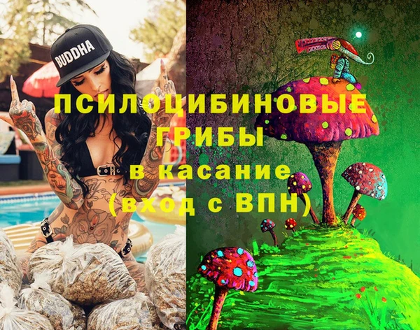 меф Осинники